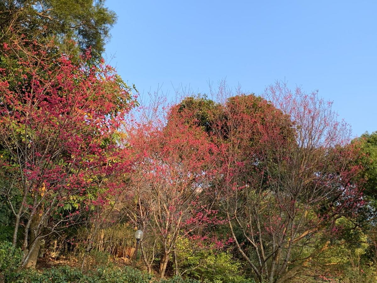 牛奶森林 柏竺山莊bozhu Villa Sanyi Exterior foto