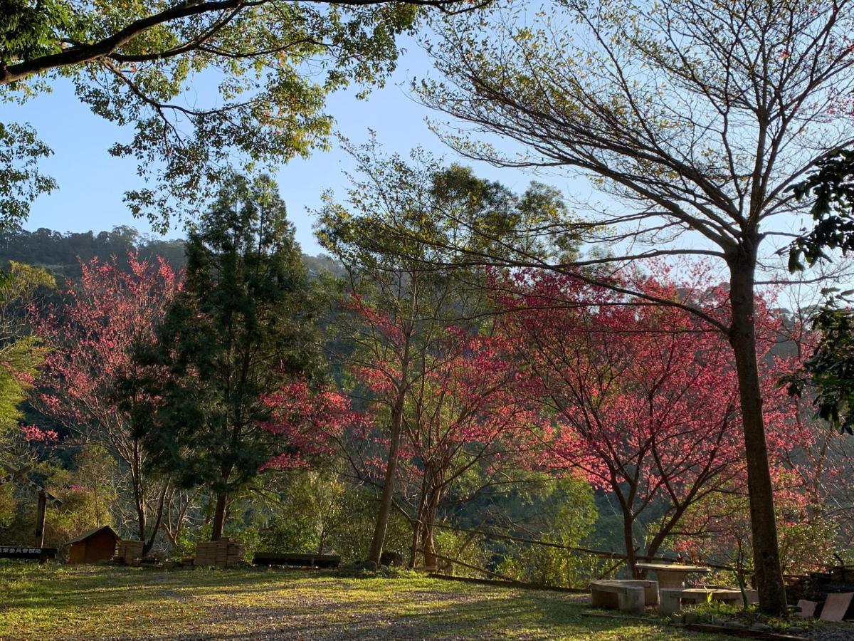 牛奶森林 柏竺山莊bozhu Villa Sanyi Exterior foto